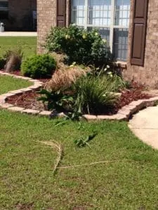 pavers around landscaping 