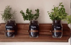 mason jar planters