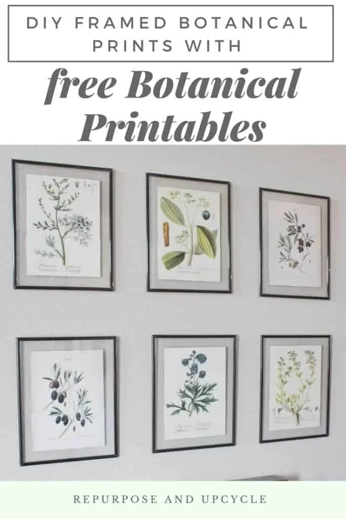DIY Framed Botanical Prints with Free Botanical Printables