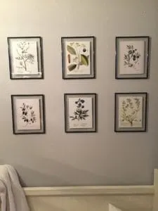 entryway with botanical prints