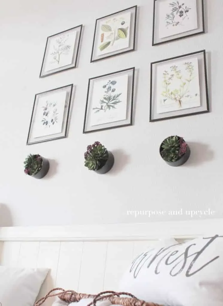 DIY wall planter for indoor decor