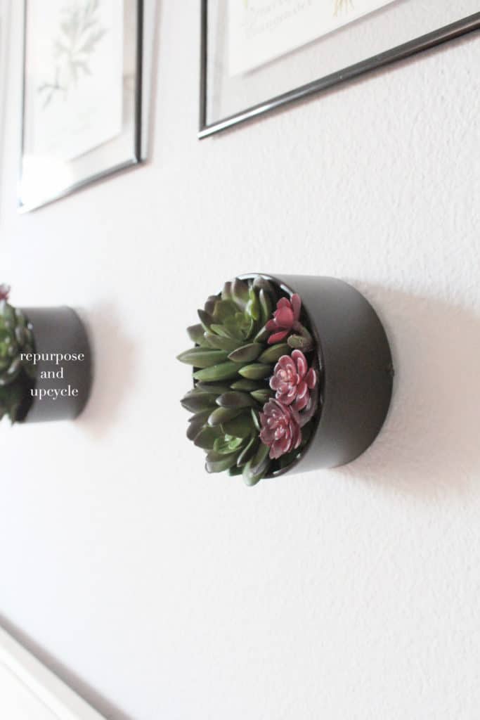 DIY wall planter with succulents