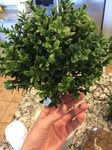 DIY Topiary Trees with Boxwood Sprays