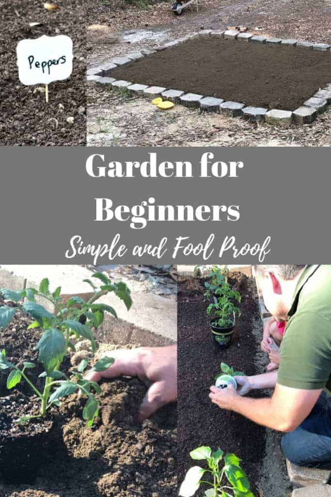 Garden for beginners
