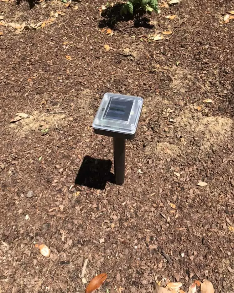 rodent repeller in garden 