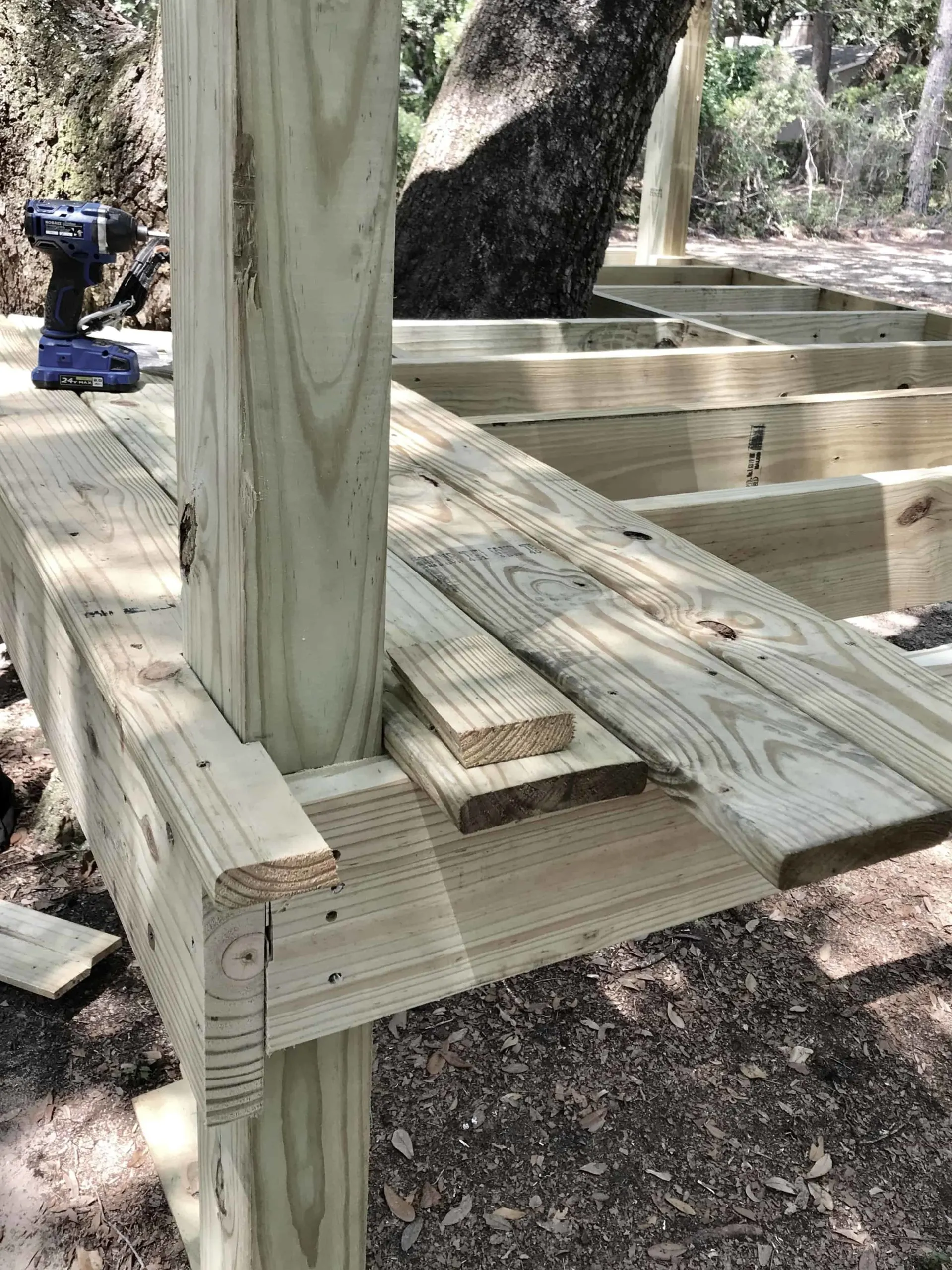 framing the top of the platform tree house 