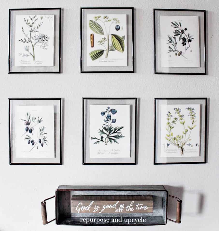 DIY botanical prints
