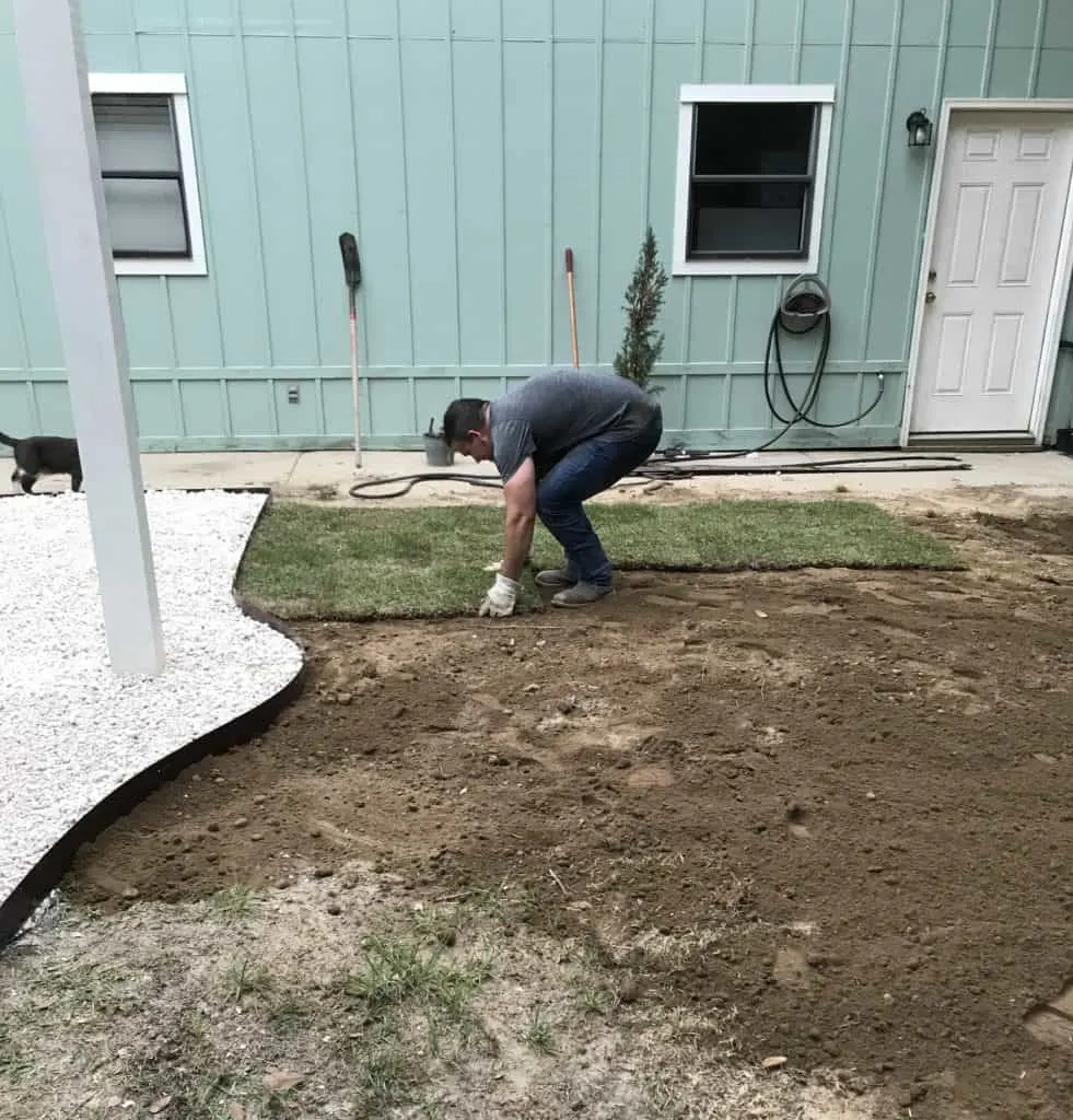 laying the sod
