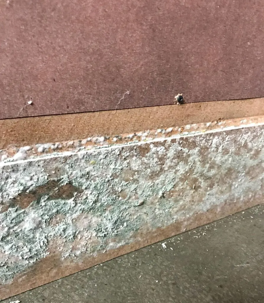 mold on particle board furniture