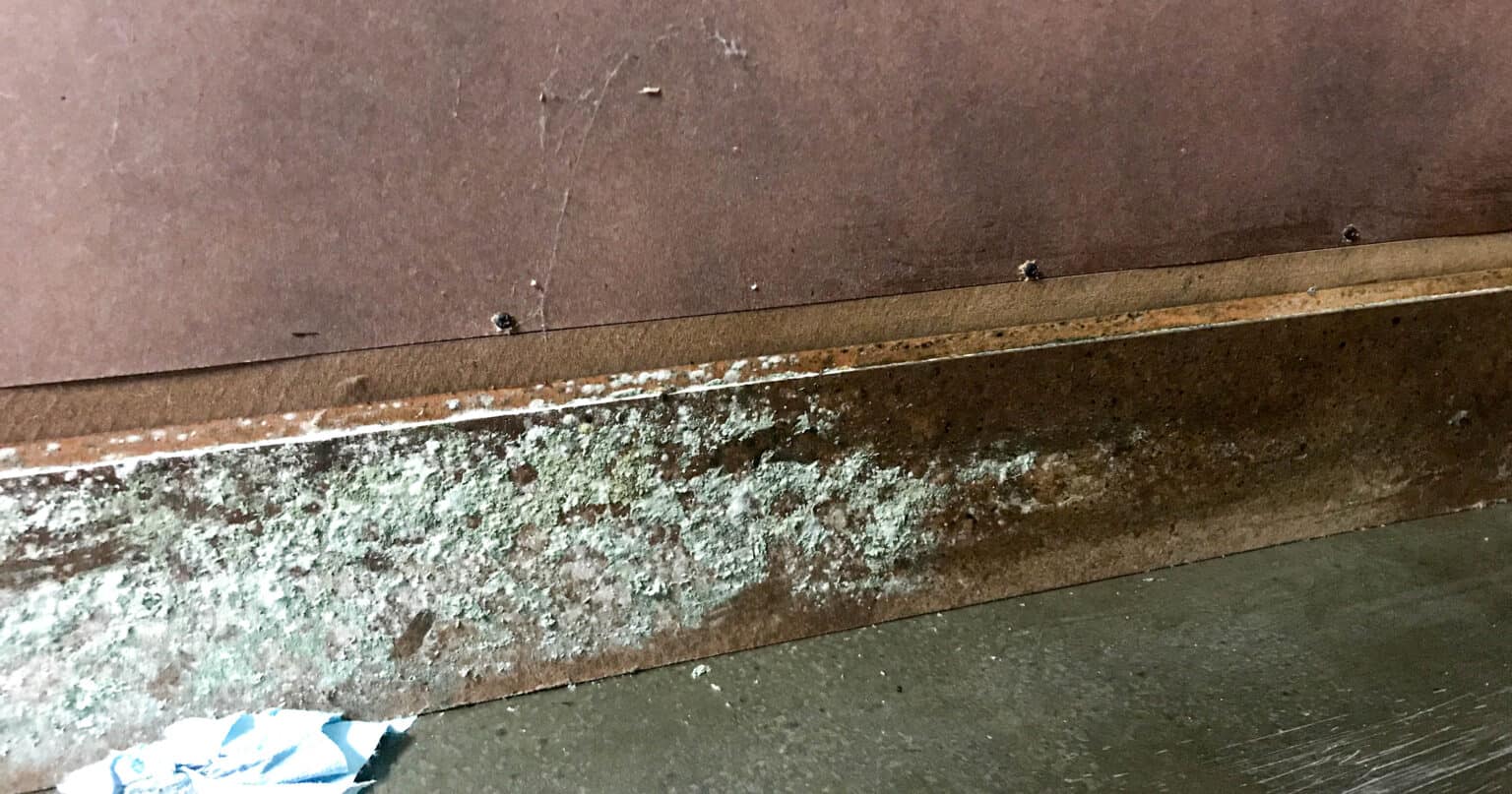 How to Remove Mold and Prevent Mold Growth on Wood Furniture