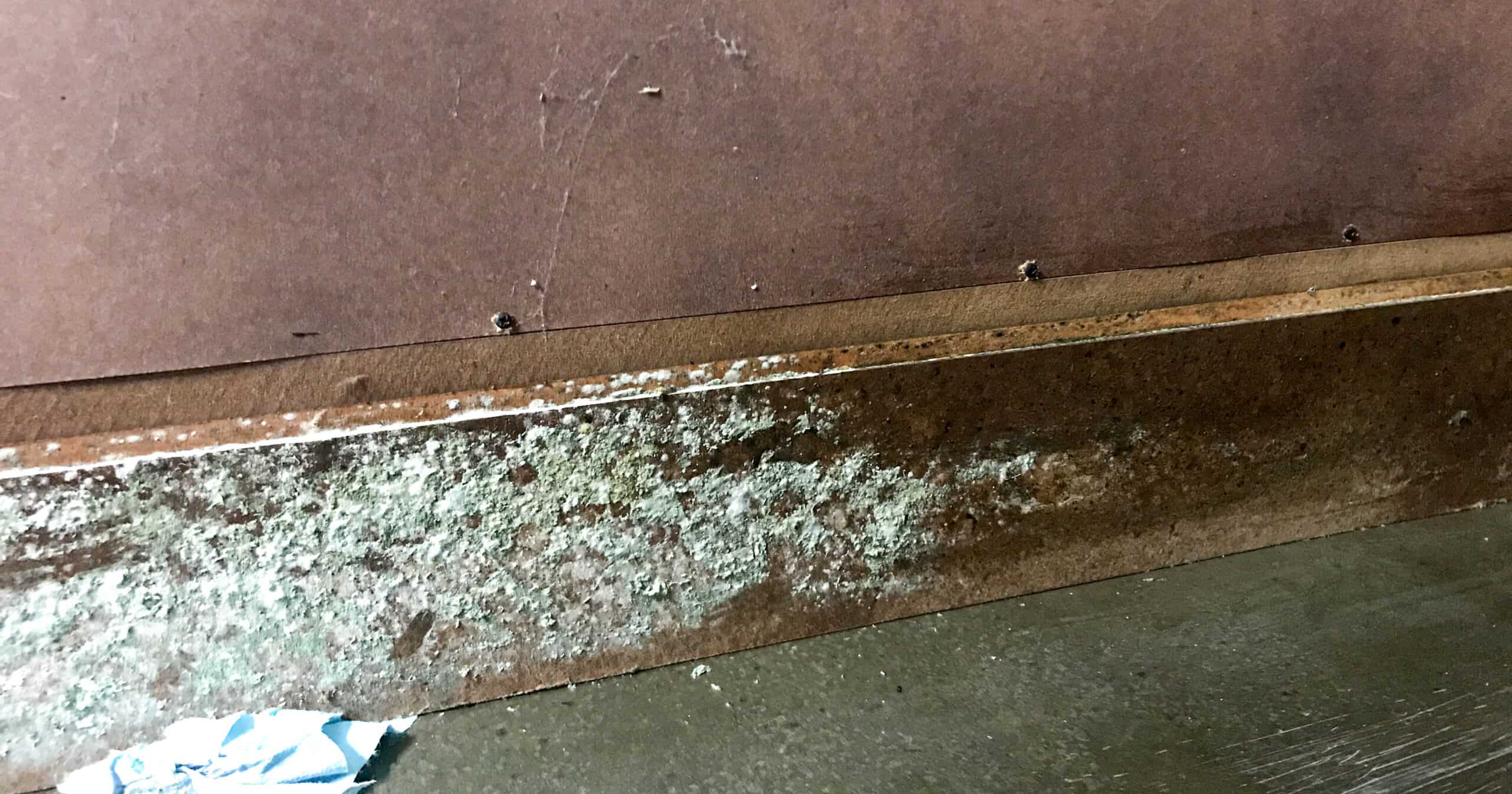 How to Remove Mold and Prevent Mold Growth on Wood Furniture