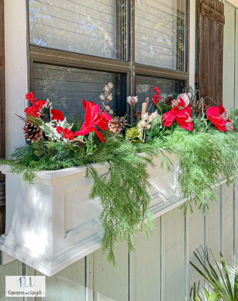 winter window boxes